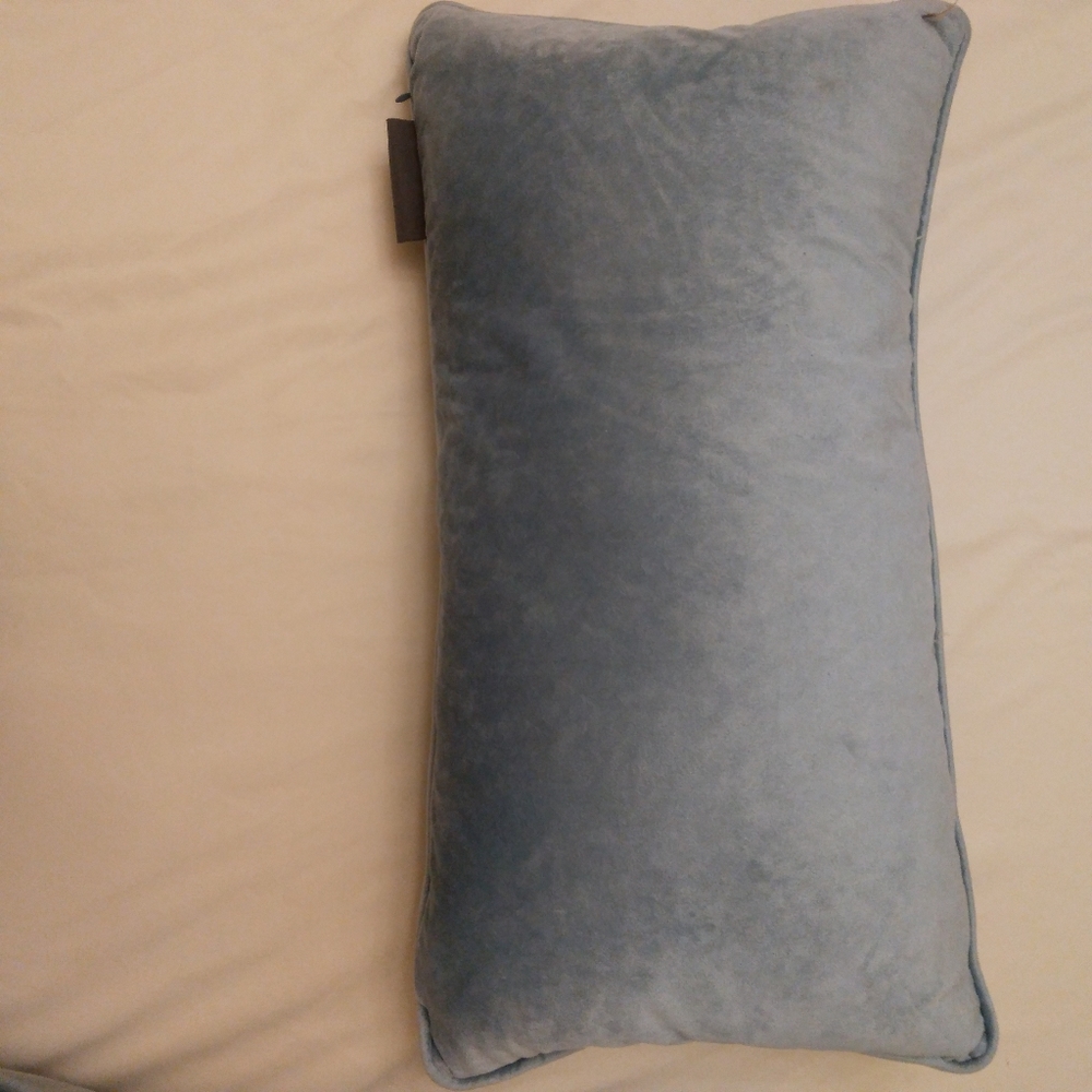 Blue Velvet Covered Down Pillow